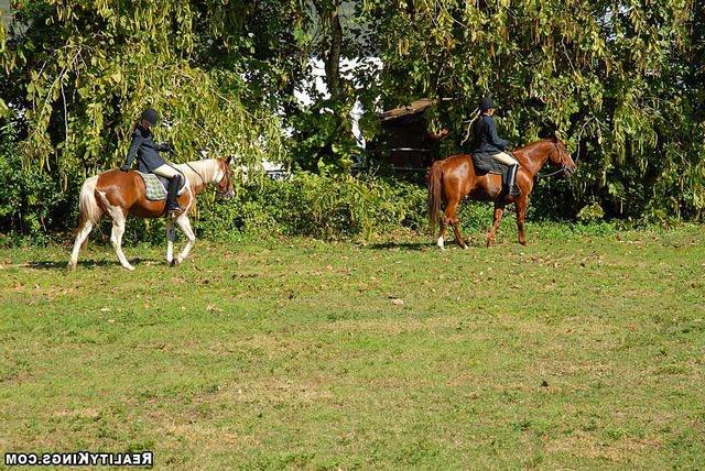 Голые наездницы совратили кучерявого конюха 17 фото